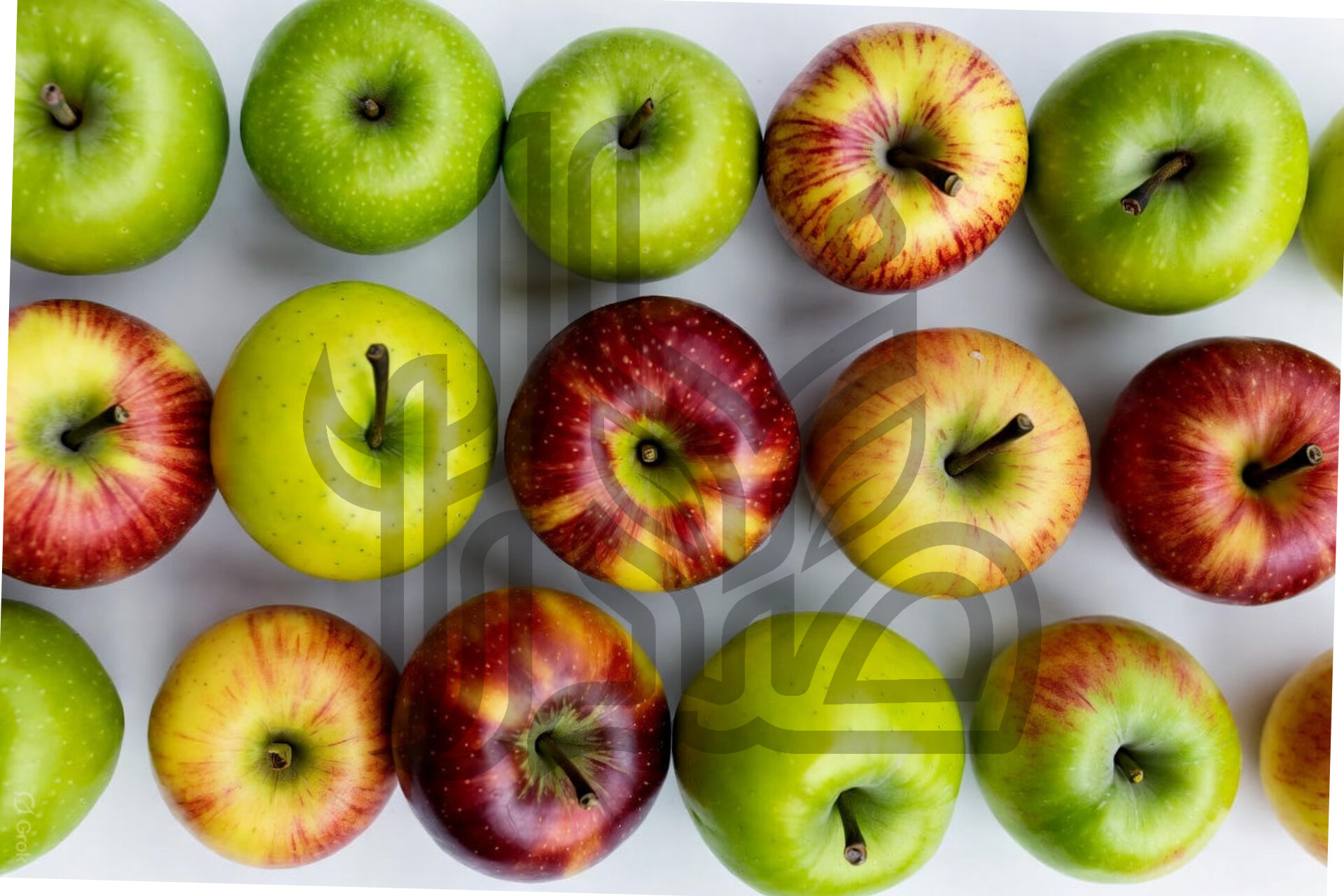 انواع نهال سیب