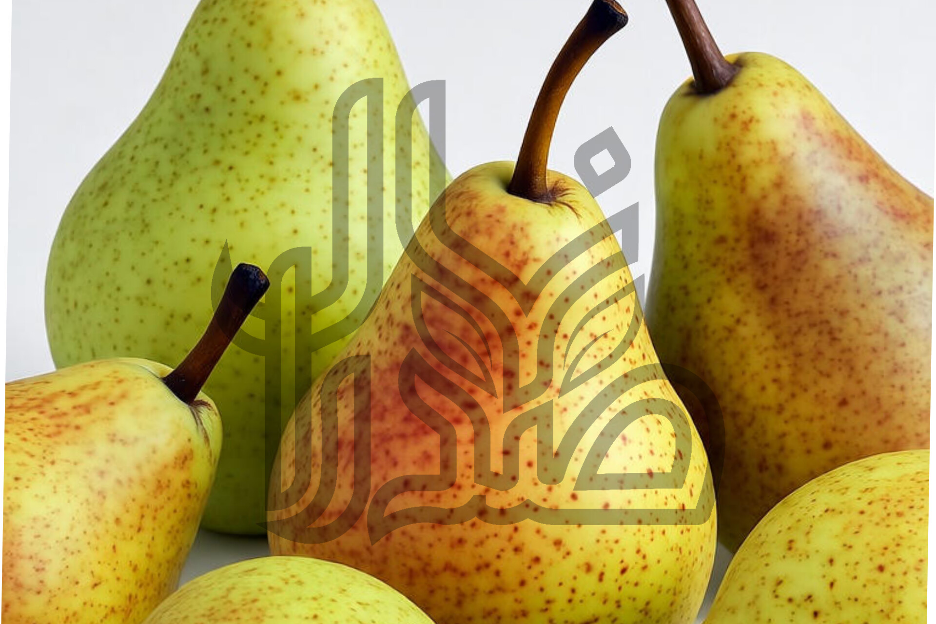 انواع نهال گلابی