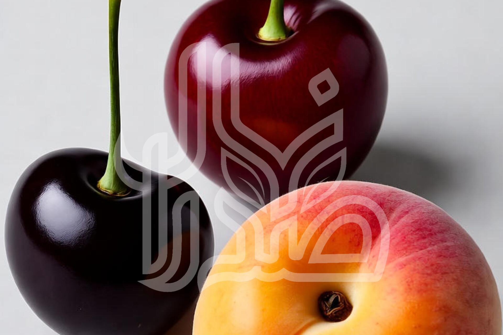 انواع نهال میوه‌های هسته‌دار